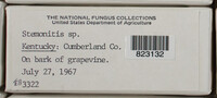 Image Associated With the Occurence